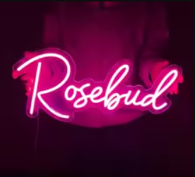 ✨Personalized Neon Sign - Your Favorite Quote in Light✨